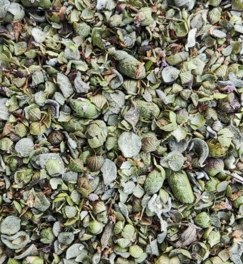 Kretischer Majoran (Origanum Microphyllum)